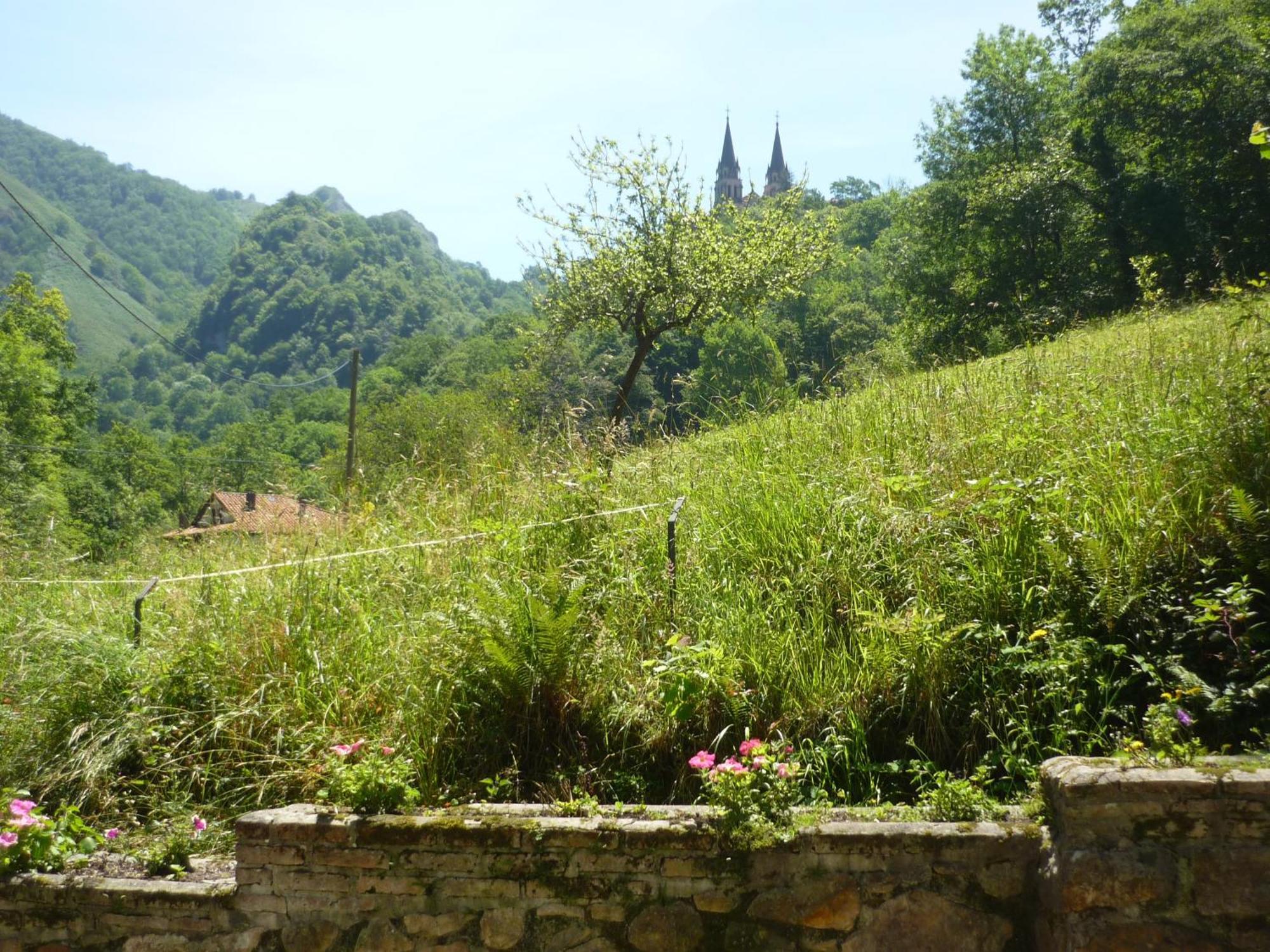 Hotel El Repelao Covadonga Buitenkant foto